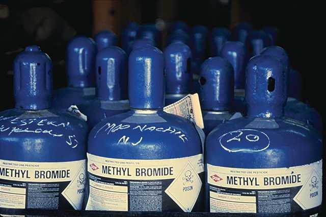 NAFDAC bans use of Methyl Bromide for pest control in crops