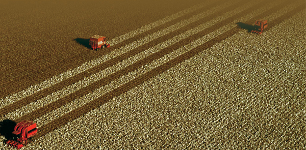 Olam International reports 2018 PATMI of S$347.8 million