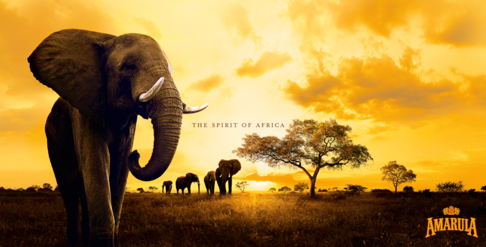 Distell unveils Africa expansion strategy targeting Nigeria, Ethiopia and Zimbabwe