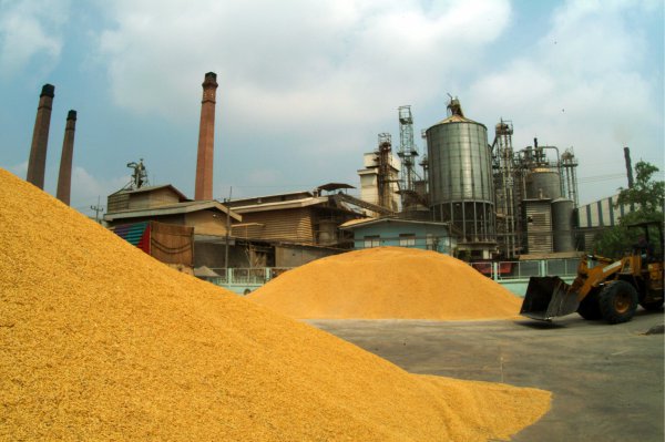 Ondo Rice Farmers to get Mills