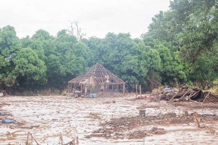 Cyclone Idai: Immediate help for Mozambique’s livestock and fisheries sectors