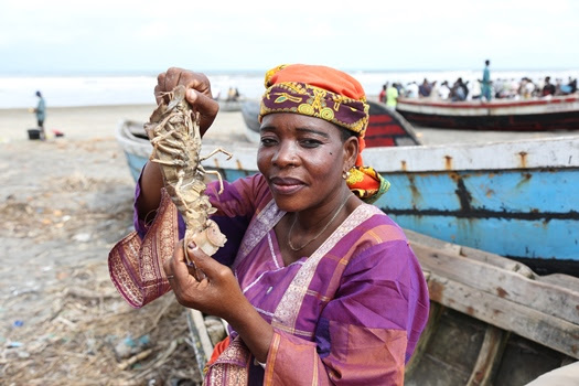 Investing in the blue economy to accelerate sustainable development in Africa