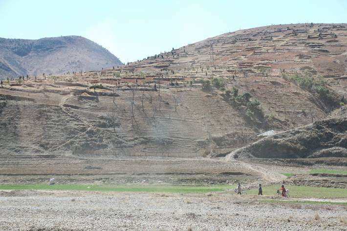 After worst harvest in ten years, 10 million people in North Korea face imminent food shortages