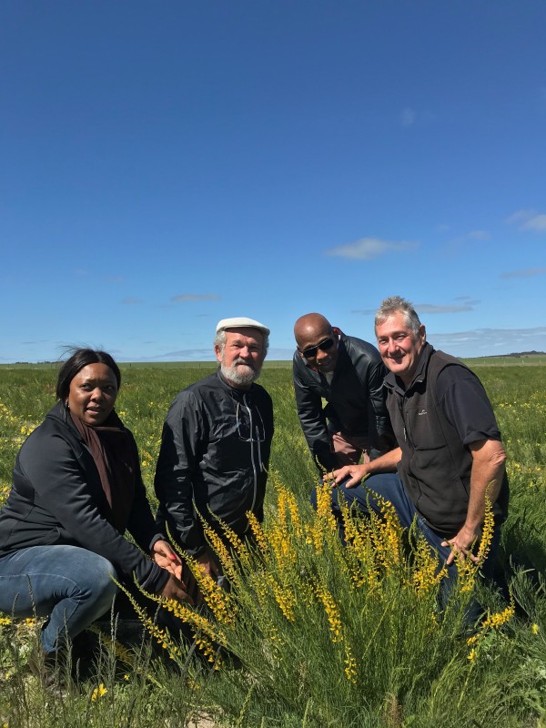 The Scientific Breakthrough That Could Turn Australia’s Arid Land Into Green Pasture