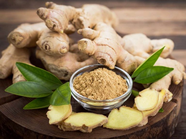 Ginger Outlook For 2019/ 2020 Season