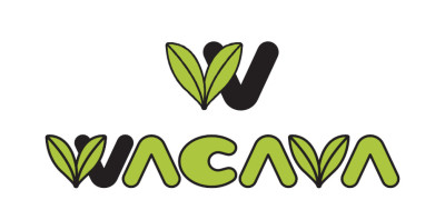 SACRA MUSIC Commences Global Animation Song Cover Project "WACAVA Project"!