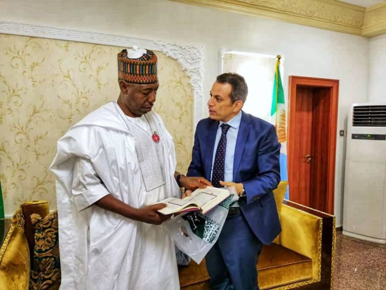 Borno, Egypt to collaborate on improving healthcare, education and irrigation in the state (Photos)