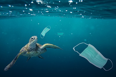 A sea turtle going to eat a surgical mask. Photo manipulation about ocean pollution and the consequences of overuse of surgical masks during coronavirus pandemic.
