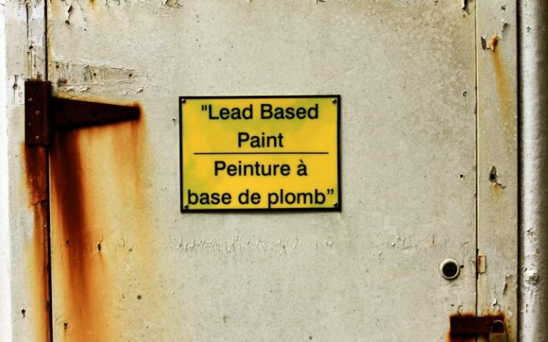 Lead exposure in developing countries