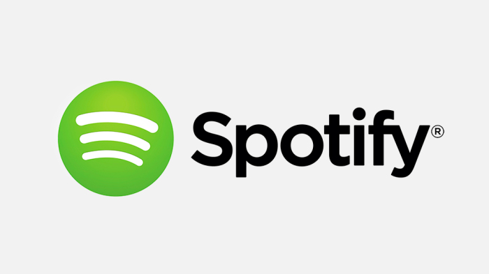 Top 5 Features You Need To Experience On Spotify