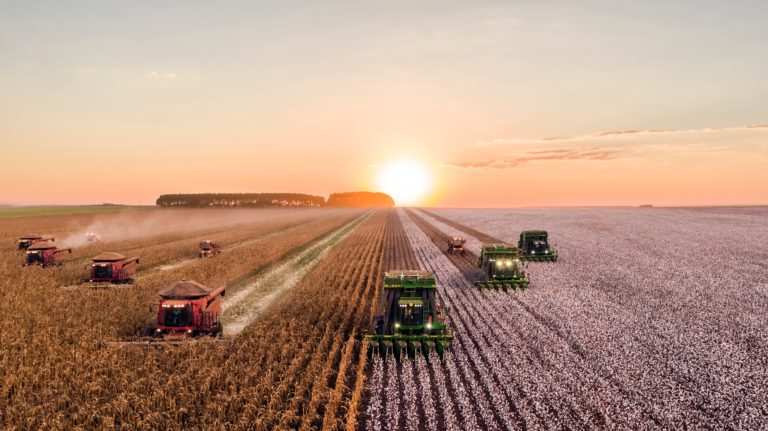 10 things you should know about industrial farming