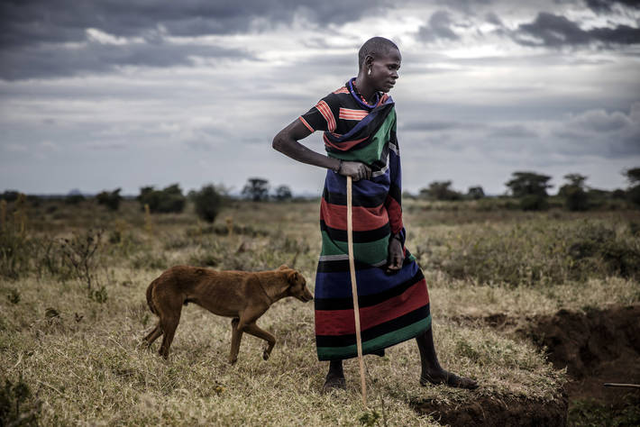 World Rabies Day 2020: FAO, OIE and WHO leaders announce collective effort to end human rabies deaths by 2030