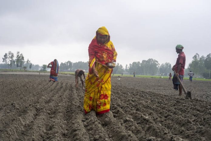 FAO welcomes $3 million contribution from Germany and Sweden to help farmers fight the impact of climate change Brandspurng FAO welcomes $3 million contribution from Germany and Sweden to help farmers fight the impact of climate change