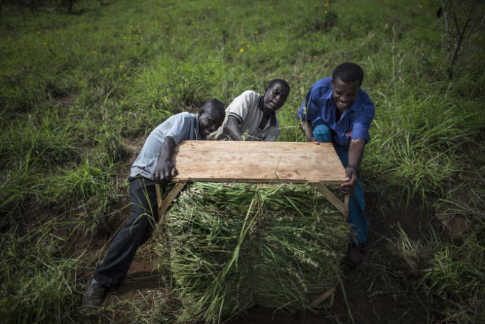 FAO’s Statistical Yearbook offers largest trove of data on food and agriculture