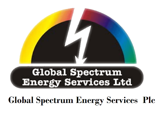 Global Spectrum Energy Services Appoints Chidolue Okonkwo as Director