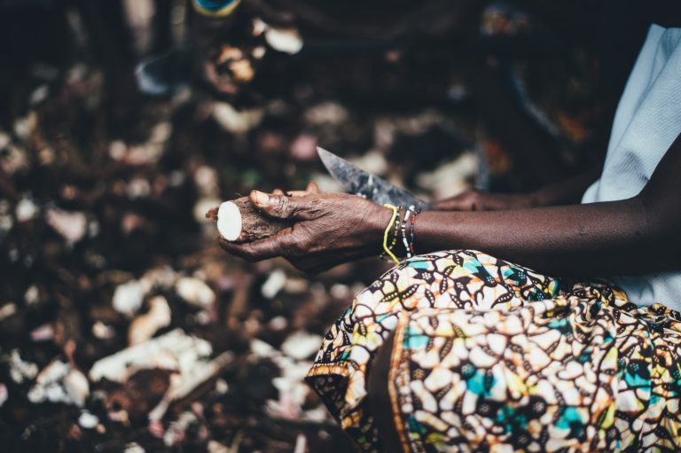Harnessing the Economic Potential of Cassava production in Nigeria