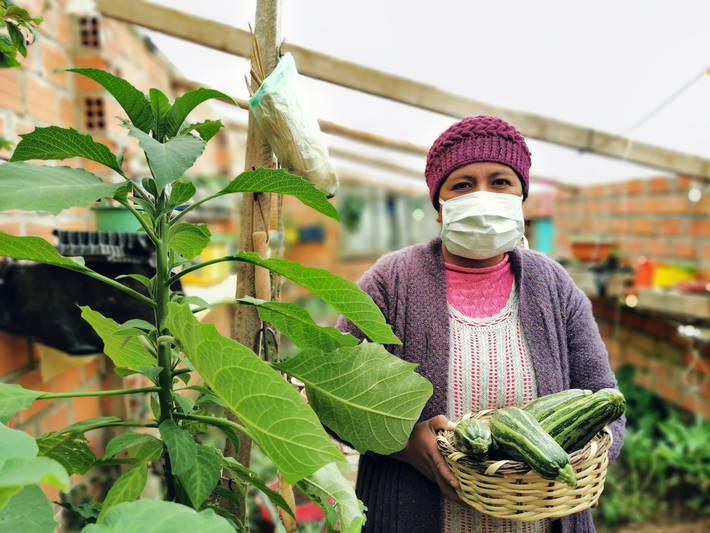 Impact of COVID-19 on people’s livelihoods, their health and our food systems