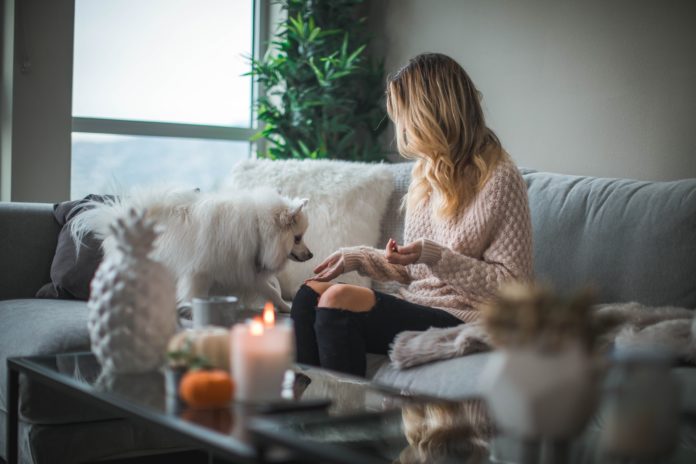 Refreshing Your Home On A Budget Brandspurng Refreshing Your Home On A Budget