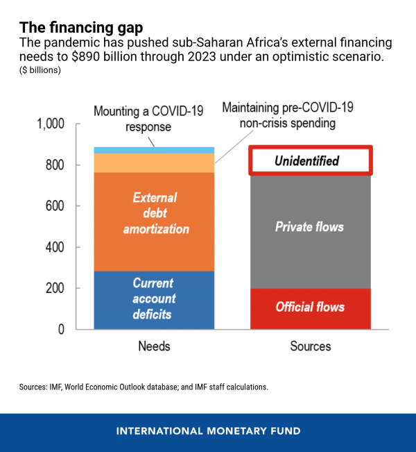 Sub-Saharan Africa’s Difficult Road to Recovery