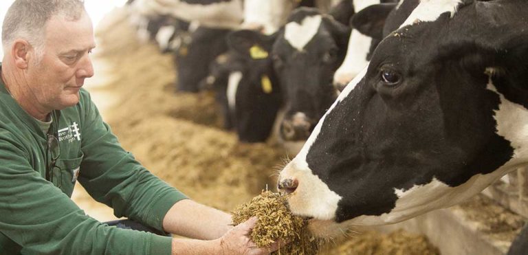 FrieslandCampina WAMCO, Global Dairy Giants Partner to Boost Dairy Self-Sufficiency in Nigeria
