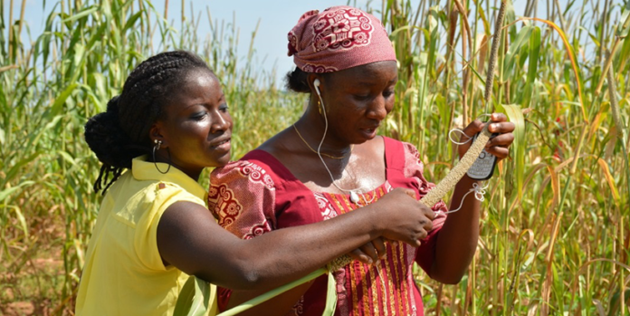 Adoption of mobile phones can provide youth with agriculture market access