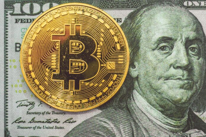 A Crypto VC Known As 'SEVEN' Founded A Company That Can Prevent Big Tech From Gathering Data On You. Here's How He's Trying To Create An Uncensored Internet. A Crypto VC Known As 'SEVEN' Founded A Company That Can Prevent Big Tech From Gathering Data On You. Here's How He's Trying To Create An Uncensored Internet.