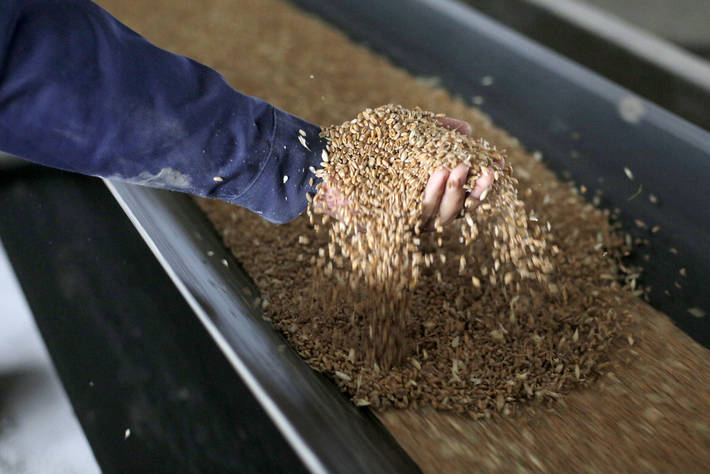 Global food prices continue rising in October - FAO Brandspurng