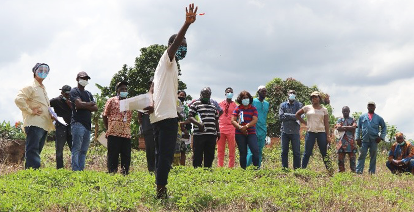 IITA Brandspurng Joint agribusiness park activities commence in Oyo State1