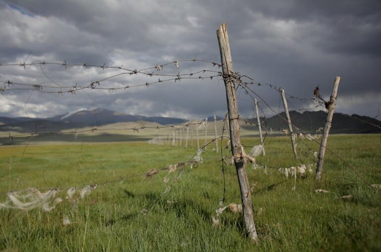 New report reveals land inequality is worse than we thought and is fueling other inequalities