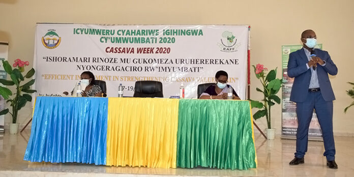 Rwandan farmers name new cassava varieties during the Cassava Week