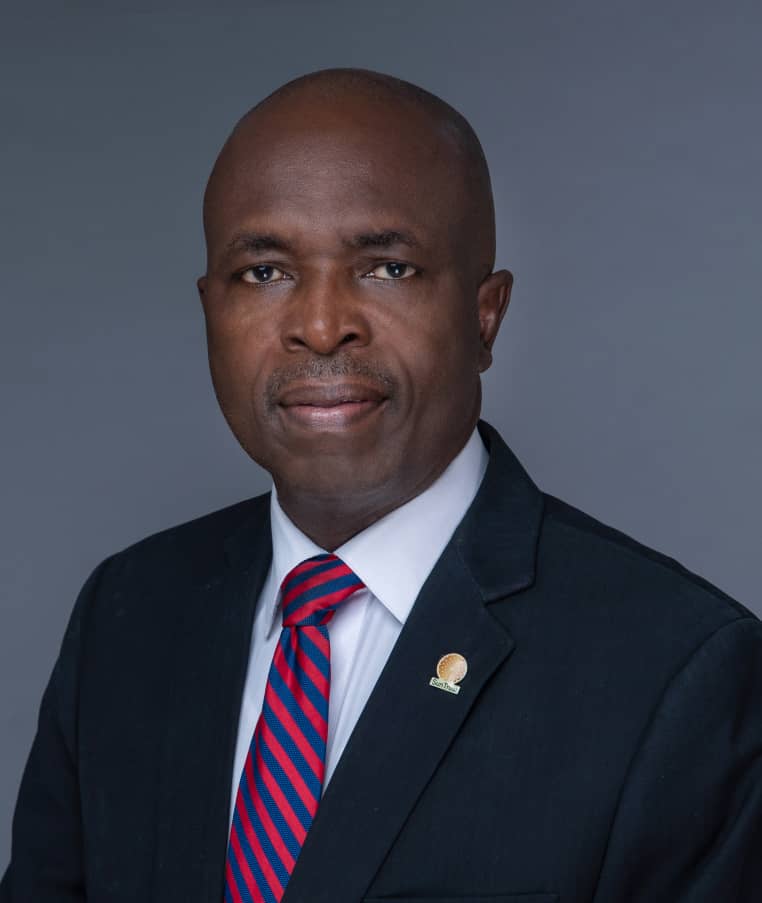SunTrust Bank Picks Former CBN Director as New Chairman