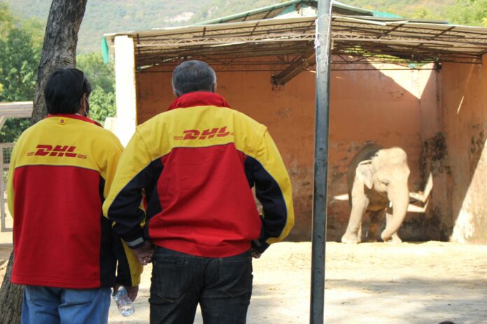 DHL safely relocates the world's loneliest elephant Brandspurng1 DHL safely relocates the world's loneliest elephant Brandspurng