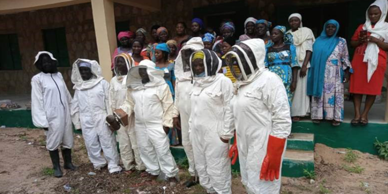 IITA Trains Northeast Women In Beekeeping And Goat Rearing (Photos)