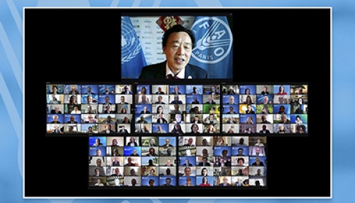 2021: A Year Of Effectiveness And Strategic Thinking To Transform Agri-Food Systems