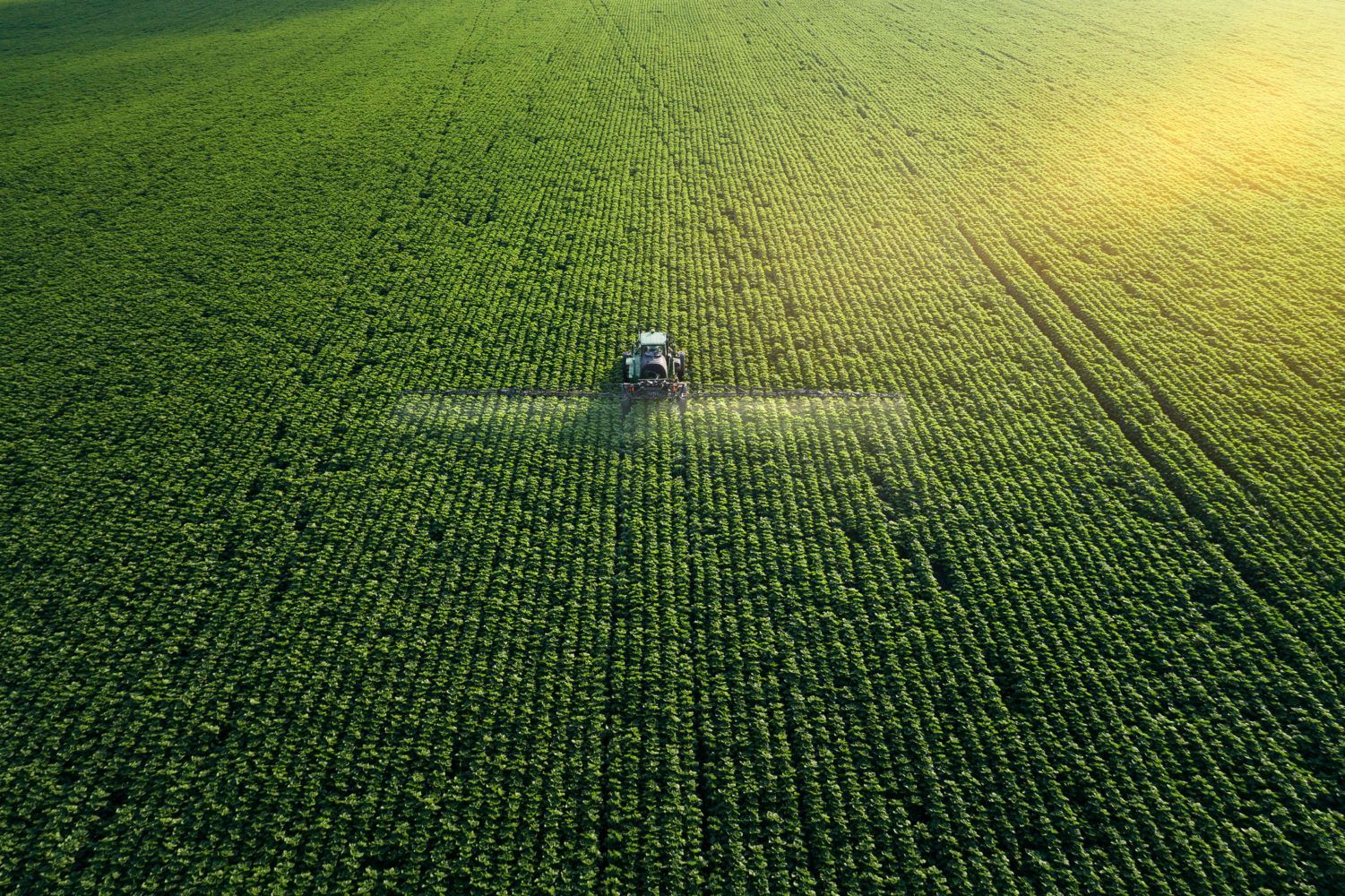 AgBiTech and GAIL enter distribution agreement for Fawligen biological control for Fall Armyworm in Nigeria Brandspurng