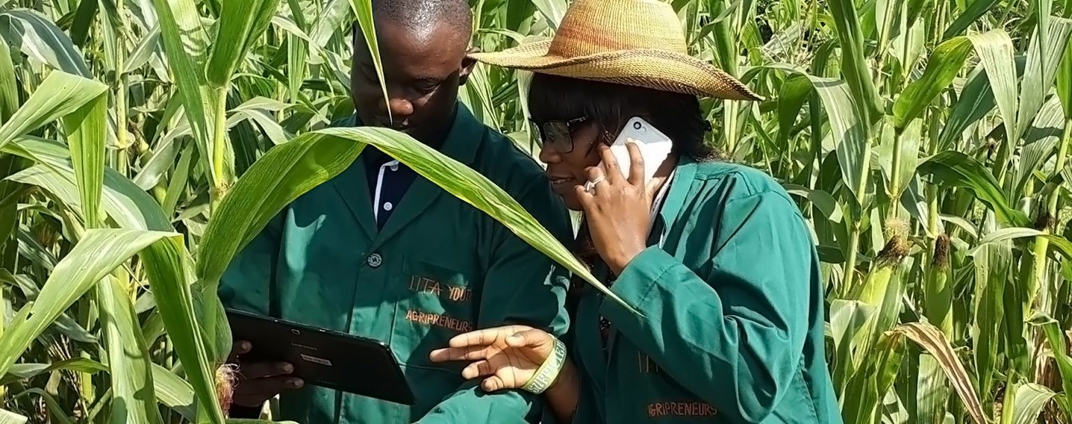 Agribusiness-made-easy-through-the-use-of-ICT-brandspurng-IITA Focuses On Integrated Digital Tools For Accelerating Agricultural Transformation In Sub-Saharan Africa