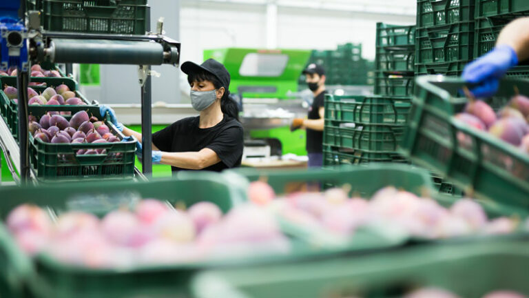 Global Economy to Expand by 4% in 2021; Vaccine Deployment and Investment Key to Sustaining the Recovery
