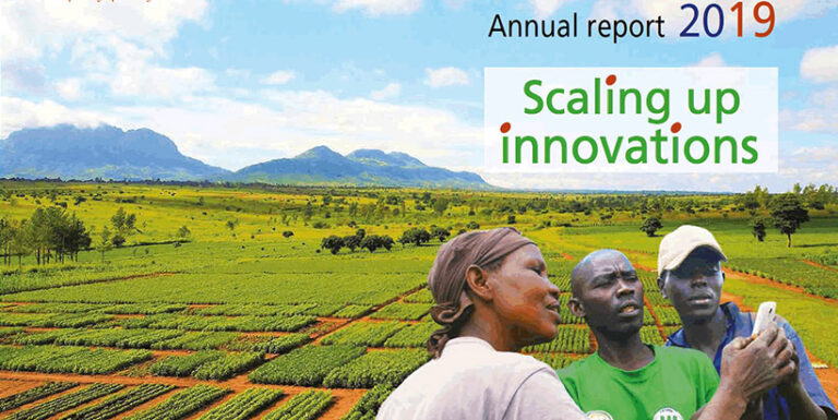 Scaling Up Innovations: IITA’s Commitment To African Agricultural Transformation