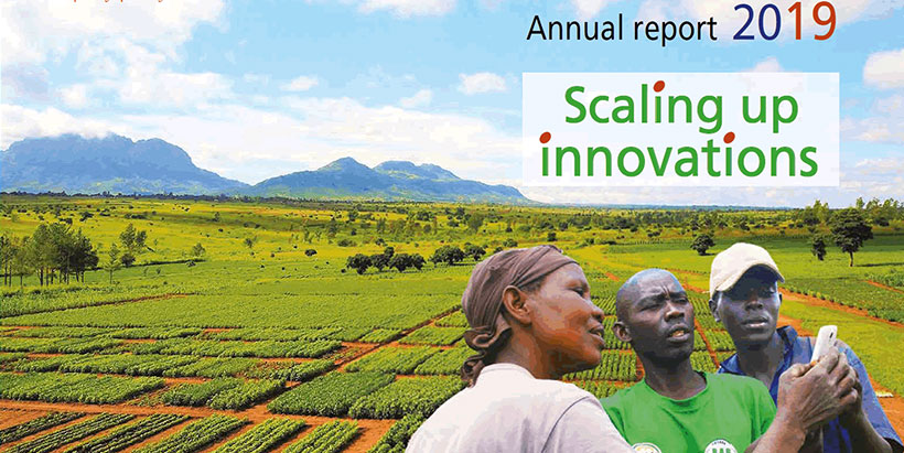 Scaling Up Innovations Brandspurng IITA’s Commitment To African Agricultural Transformation