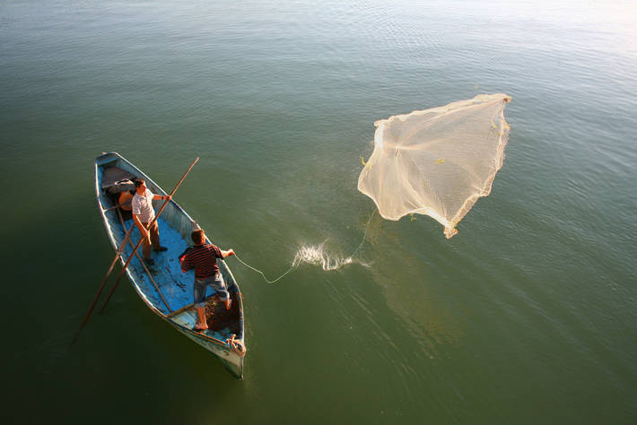 Fisheries and aquaculture are a critical part of global agri-food systems transformation, says FAO DG