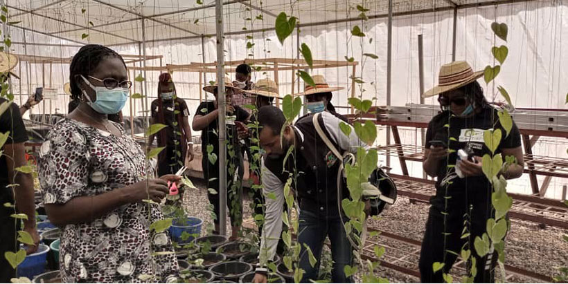 Maiden Naija Farmer Reality TV show on a learning visit to IITA Abuja Brandspurng