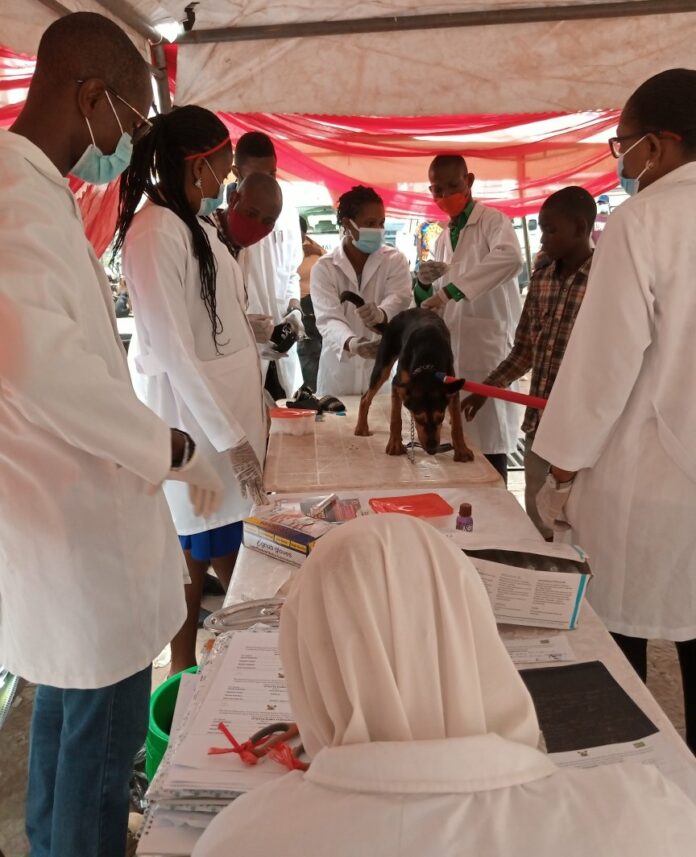 Rabies brandspurng Lagos State To Carry Out Free Vaccination For 1.5 Million Dogs (Photos)1 Rabies brandspurng Lagos State To Carry Out Free Vaccination For 1.5 Million Dogs (Photos)1