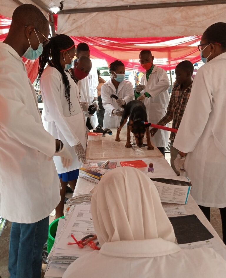 Rabies: Lagos State To Carry Out Free Vaccination For 1.5 Million Dogs (Photos)