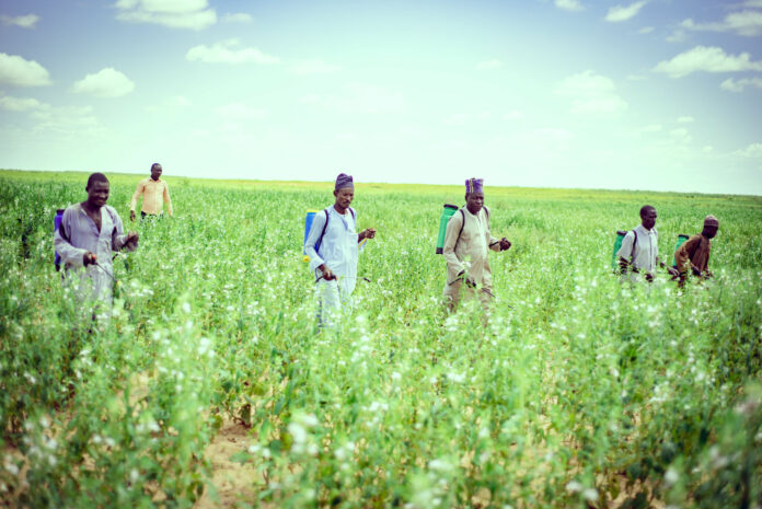 Syngenta, WACOT Partner To Boost Nigeria’s Food Security-Brand Spur Nigeria Syngenta, WACOT Partner To Boost Nigeria’s Food Security-Brand Spur Nigeria