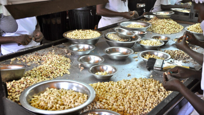 Cashing In On Cashews: Africa Must Add Value To Its Nuts - UNCTAD