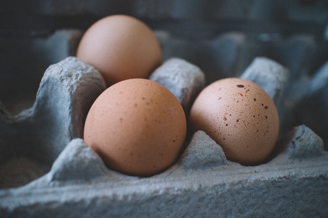 Top 10 Take-Aways From Protein Challenge Webinar Series 8 Brandspurng