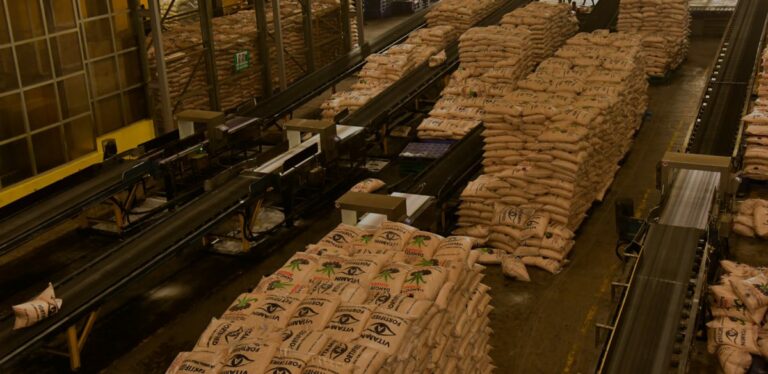Dangote Sugar Reports Q1 2021 Profit ₦8.3Bn, Up 30.3% On Revenue Of $67bn