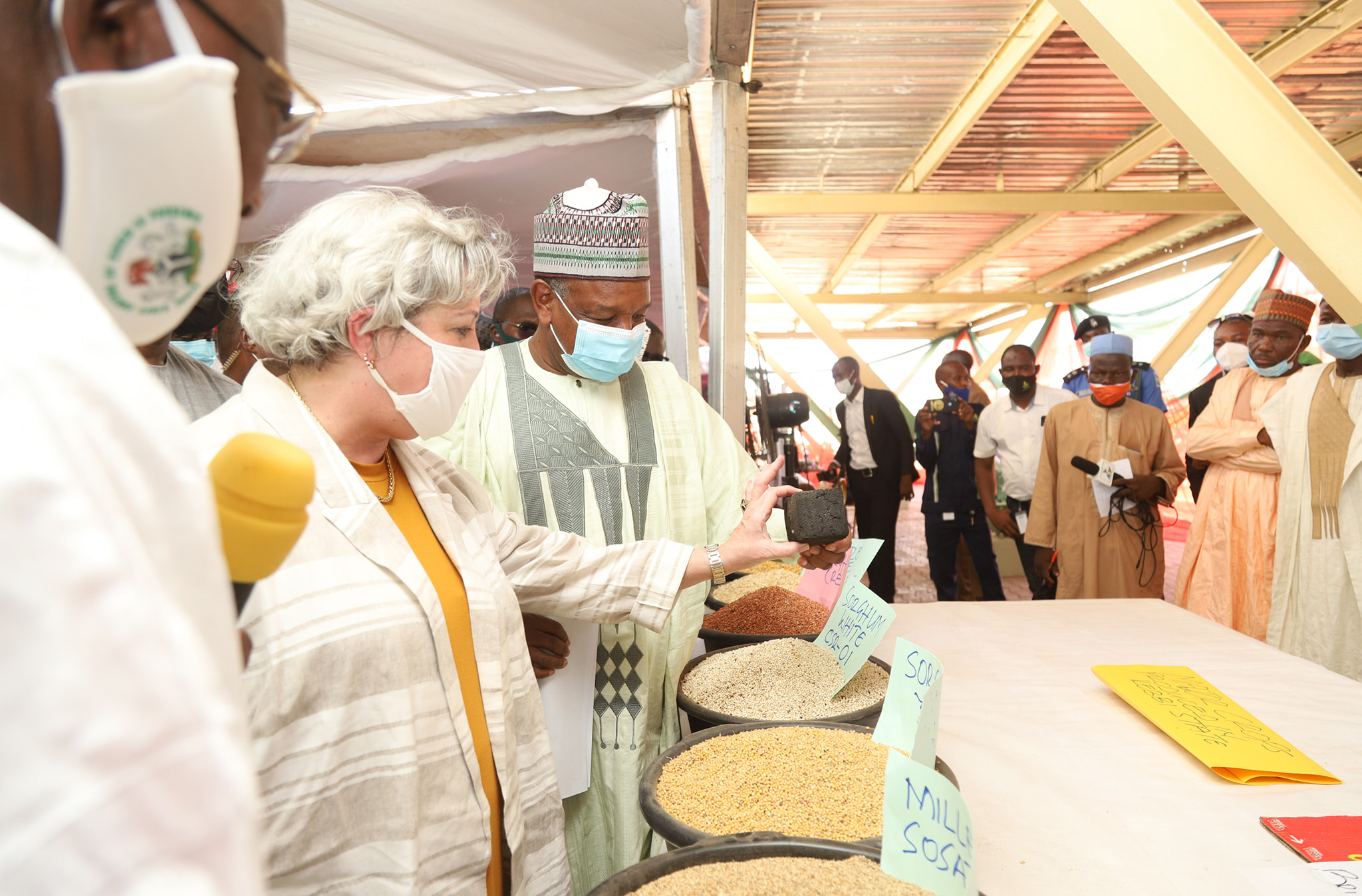 WACOT Rice