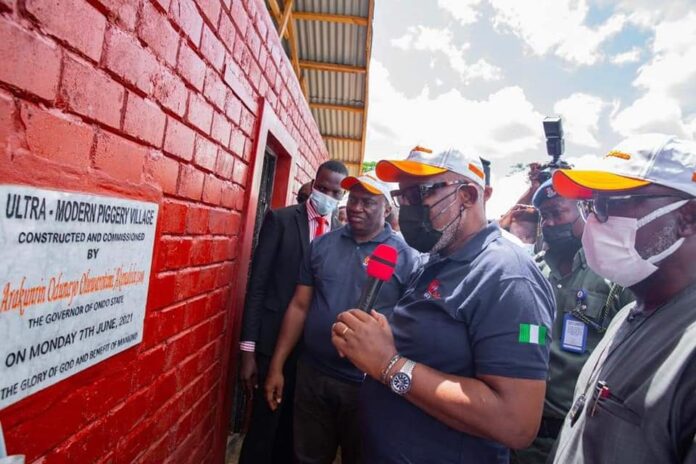 Ondo State Governor Commissions Ultra-Modern Piggery (Photos) Brandspurng1 Piggery