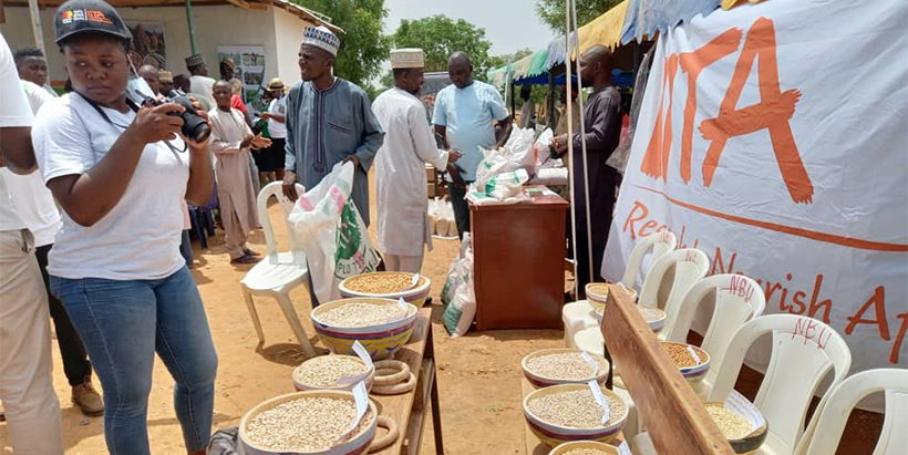 IITA And Partners Organize Seed Fair In Kano And Jigawa